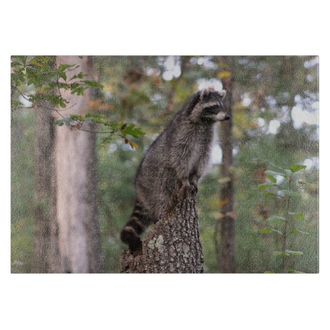 Racoon on stump cutting board (Front)