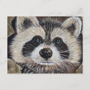 Racoon Painting Postcard