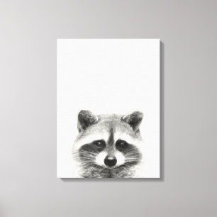 Racoon Pencil Drawing Canvas Print