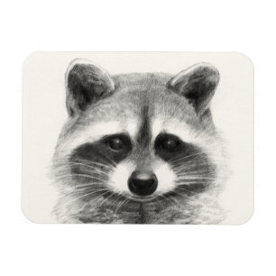 Racoon Pencil Drawing Magnet