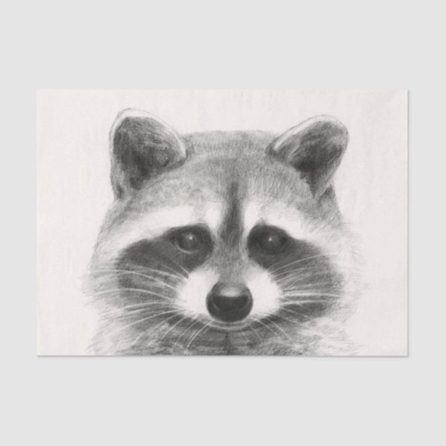 Racoon Pencil Drawing Tissue Paper (Front)