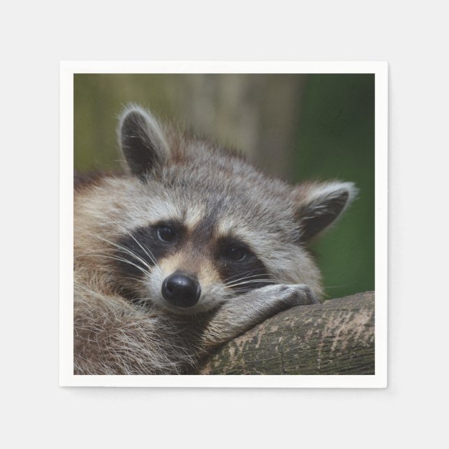 Racoon Photo Napkin (Front)