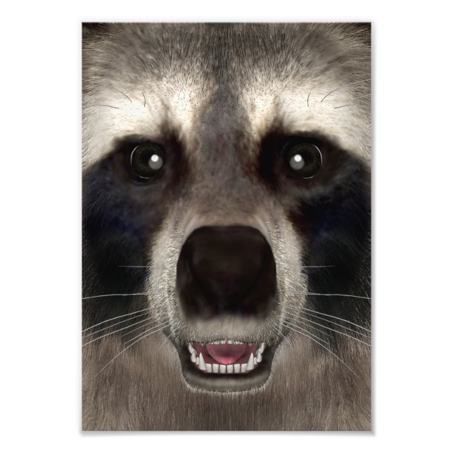 Racoon Photo Print (Front)