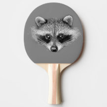 Racoon