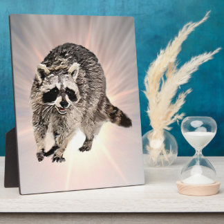 Racoon plain Plaque (3) sizes