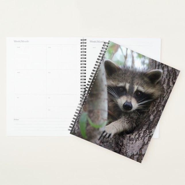 Racoon Planner (Display)