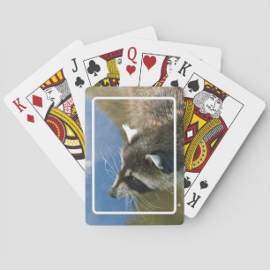 Racoon Playing Cards