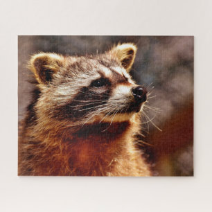 Racoon Portrait, Jigsaw Puzzle