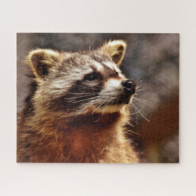 Racoon Portrait, Jigsaw Puzzle (Horizontal)