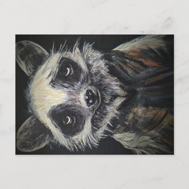 Racoon Postcard (Front)