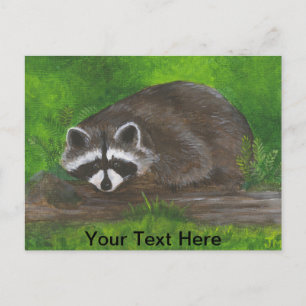 Racoon Postcard