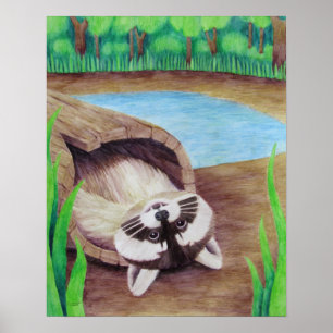 Racoon Poster
