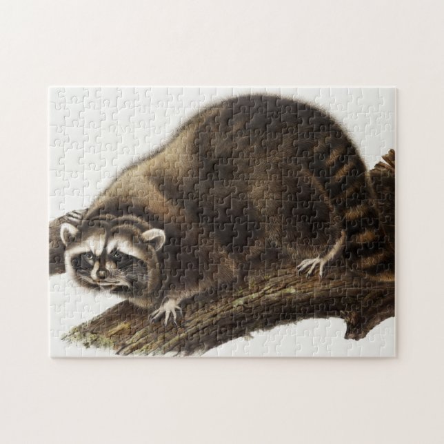 Racoon (Procyon lotor) Illustration Jigsaw Puzzle (Horizontal)