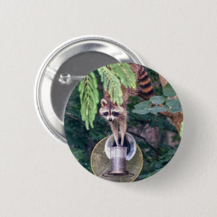 Racoon Raiding the Bird Feeder 6 Cm Round Badge