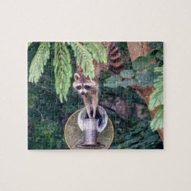 Racoon Raiding the Bird Feeder Jigsaw Puzzle (Horizontal)