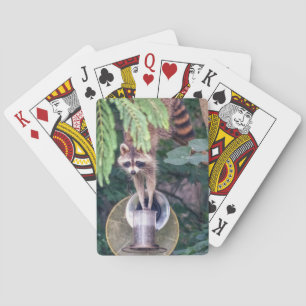Racoon Raiding the Bird Feeder Playing Cards