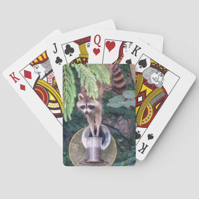 Racoon Raiding the Bird Feeder Playing Cards (Back)