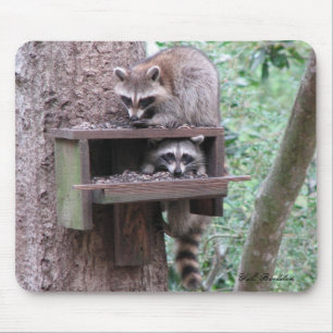 Racoon Rascals Mousepad