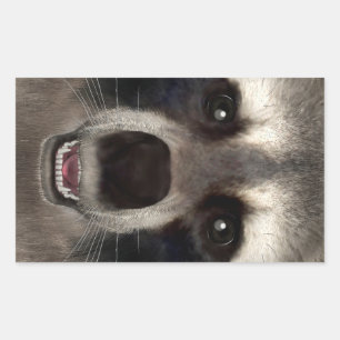 Racoon Rectangular Sticker