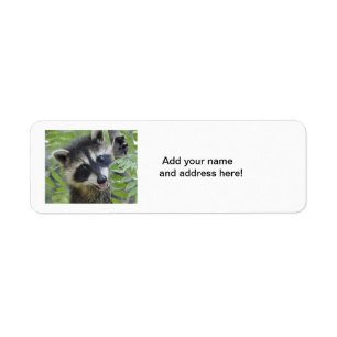 Racoon Return Address Labels