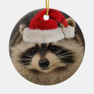 Racoon Santa ornament