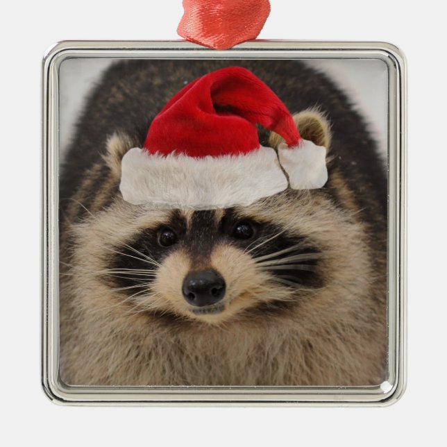 Racoon santa ornament (Front)