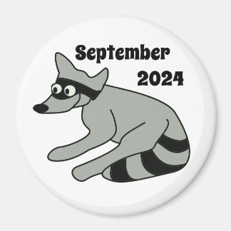 Racoon, September 2024 Magnet