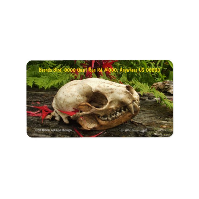 Racoon skull old log with ferns and red Monarda Label (Front)
