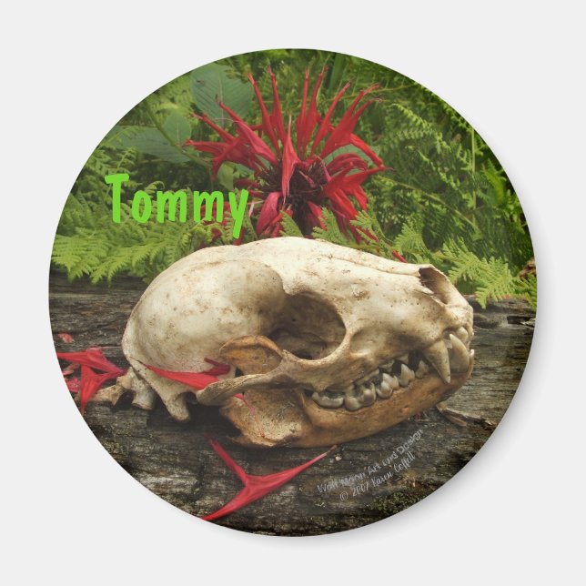 Racoon skull old log with ferns and red Monarda Magnet (Front)