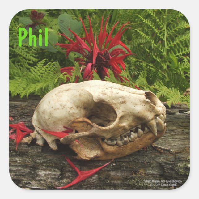 Racoon skull old log with ferns and red Monarda Square Sticker (Front)