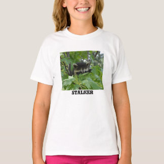 Racoon Stalker - Women's T-Shirt