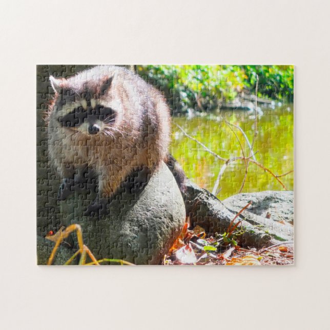 Racoon Stanley Park Vancouver. Jigsaw Puzzle (Horizontal)
