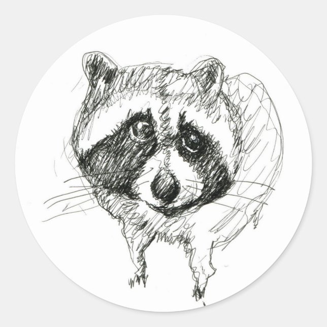 Racoon Sticker (Front)