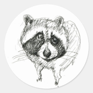 Racoon Sticker