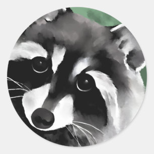 Racoon Stickers