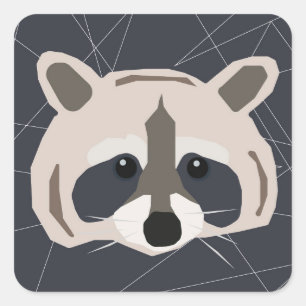 Racoon stickers