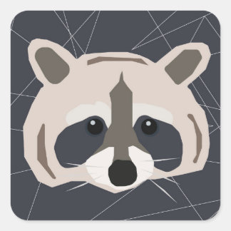 Racoon stickers