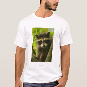 Racoon T-Shirt