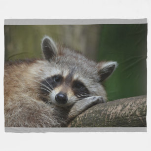 Racoon Throw Blanket