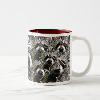 Racoon trouble Two-Tone coffee mug