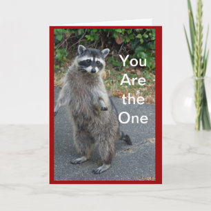 Racoon Valentine Card