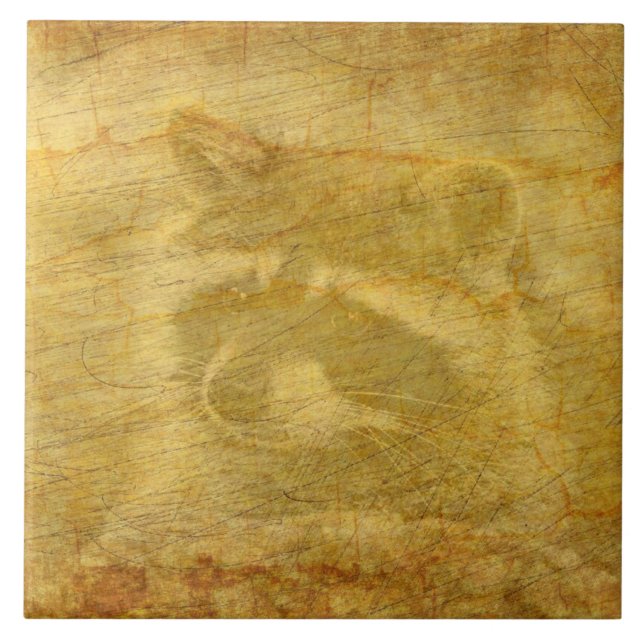 Racoon Vintage Tile (Front)
