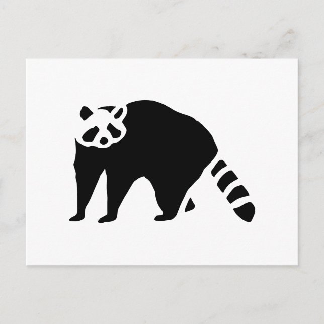 Racoon Vintage Wood Engraving Postcard (Front)