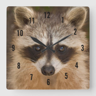 Racoon Wall Clock