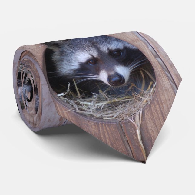 RACOON WASHBÄER / Photo: Jean-Louis Glineur Tie (Rolled)