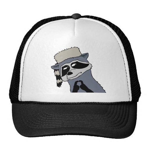 Racoon wearing coonskin cap | Zazzle