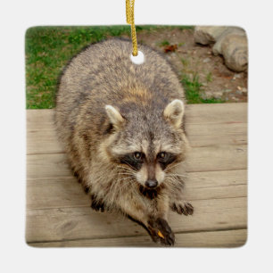 Racoon with a chip ceramic ornament
