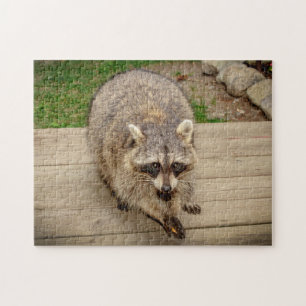 Racoon with a chip jigsaw puzzle