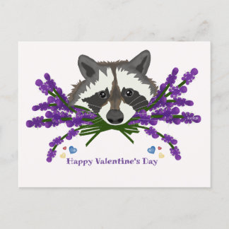 Racoon with lavender. Happy Valentine's Day Postcard