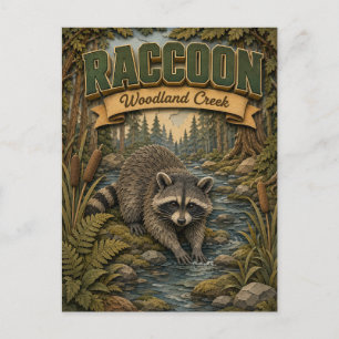 Racoon Woodland Creek POPCUT Postcard